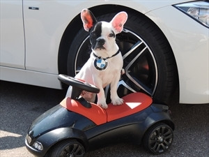 Norbert G.  Paul Automobile